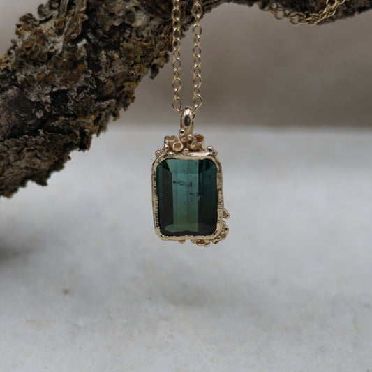 Bi-Colour Tourmaline Lichen Pendant