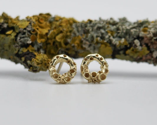 18ct Meliae Mini Lichen Circle Stud Earrings - Melissa Yarlett Jewellery