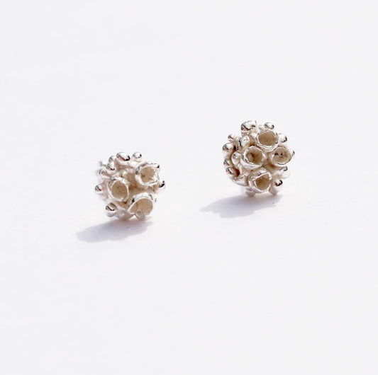 Meliae Lichen Silver Stud Earrings - Melissa Yarlett Jewellery